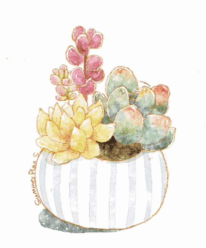 多肉的移盆_盆栽多肉移植_多肉如何移盆種植