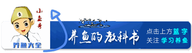 多肉爆芽素_沒有優(yōu)芽素是怎么讓多肉爆側(cè)芽_多肉爆芽素真的有用嗎