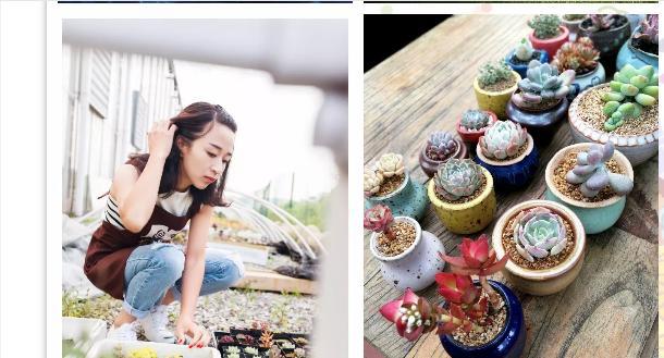 多肉是喜陰還是喜陽(yáng)植物_什么是多肉_多肉是什么植物