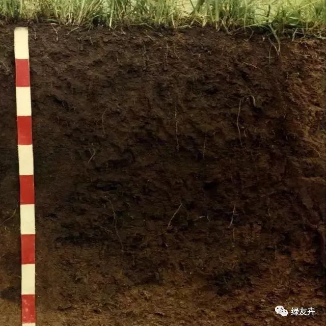 多肉用土配比方法_多肉植物配土方案_多肉植物土壤種類