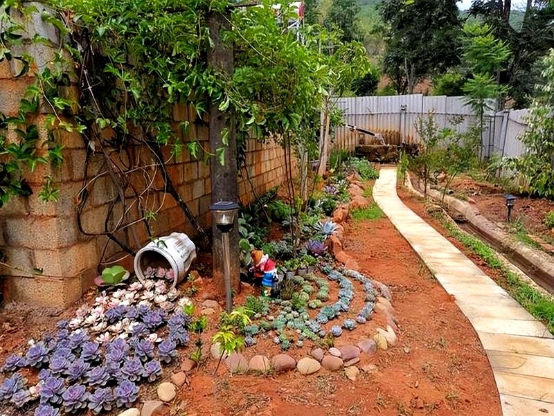 山東多肉種植經(jīng)驗(yàn)_多肉瀑布種植技巧_多肉的土壤可以用路邊土嗎