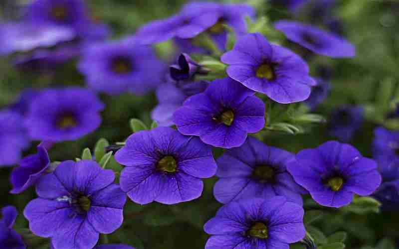 怎樣自己創(chuàng)建一個網(wǎng)站_初學(xué)者網(wǎng)站創(chuàng)建教程_網(wǎng)頁設(shè)計工具選擇指南